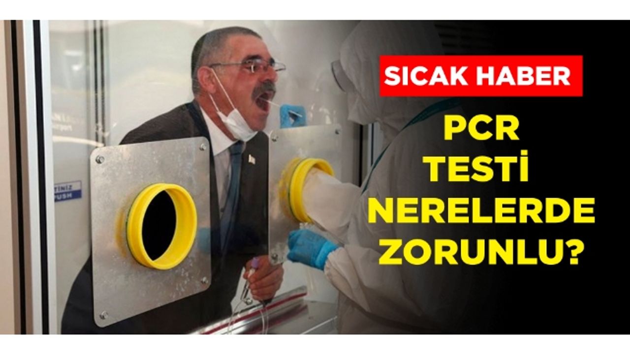 PCR testi nerelerde zorunlu tutulacak? Listede okul, uçak ve otobüs başta olmak üzere birçok yer var