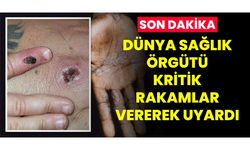 DÜNYA SAĞLIK ÖRGÜTÜ KRİTİK RAKAMLAR VEREREK UYARDI