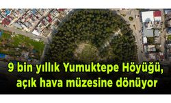 9 bin yıllık Yumuktepe Höyüğü, açık hava müzesine dönüyor