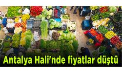 Antalya Hali'nde fiyatlar düştü