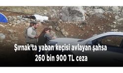 Şırnak’ta yaban keçisi avlayan şahsa 260 bin 900 TL ceza