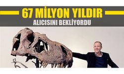 Avrupa’da ilk kez T-Rex cinsi dinazor iskeleti açık artırmaya çıkarıldı