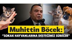 Muhittin Böcek: “Sokak hayvanlarına desteğimiz sürecek”