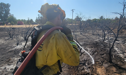 ABD'de orman yangını: 3 bin 400 hektar alan yandı