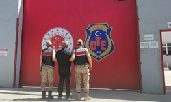 Hatay yangınına neden olan bir kişi tutuklandı