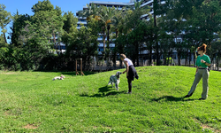 Yenilenen köpek parkı can dostları bekliyor