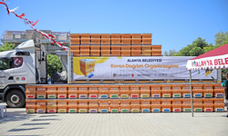 Alanya'da arı üreticilerine kovan desteği