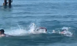 Antalya sahilinde köpekbalığı paniği