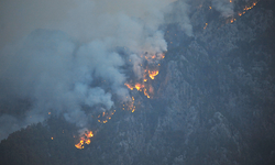 Bakan Yumaklı: “Kemer orman yangını kontrol altına alındı”