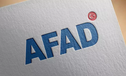 AFAD, Çanakkale yangını hakkında açıklama yaptı