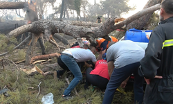 Çanakkale'de kurtarma ekibinin üzerine ağaç devrildi