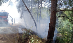 Manavgat’ta 30 dakika arayla orman yangını