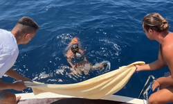 Tur teknesi kaptanı caretta carettayı denize atlayarak kurtardı
