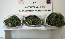 19 kilo 745 gram skunk maddesi ele geçirildi