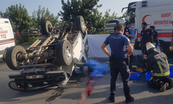 Antalya'da safari faciası: 1 ölü, 9 yaralı