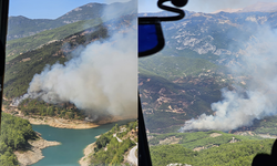 Alanya'da orman yangını başladı