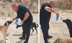 Sıcaktan bitkin düşen köpeklere kendi elleriyle su içirdi