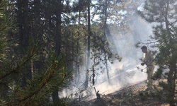 Orman yangınına erken müdahale felaketi önledi