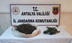 Jandarmadan 'Huzurlu Sokaklar' uygulaması