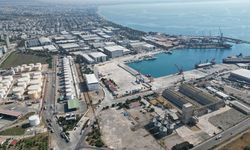 Antalya Serbest Bölgesi'nin yıl sonu ticaret hacmi beklentisi 1,1 milyar dolar