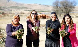 Büyükşehir'den kadın çiftçilere destek