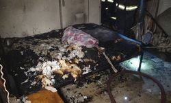 Yangın mahalleyi sokağa döktü