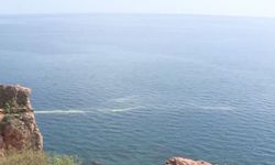 Akdeniz'de deniz salyası istilası