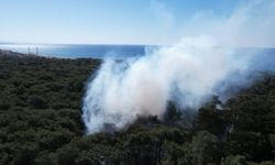 Jandarmanın dron kontrolü orman yangınının büyümesini önledi