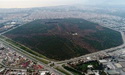Kentin akciğeri Zeytinpark, Antalyalıları bekliyor