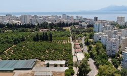 Antalya tarım alanını kaybediyor