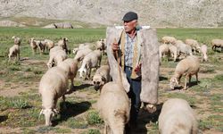 Yörüklerin yayla macerası başladı