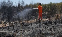 Orman yangını ekipler ve vatandaşın işbirliğiyle söndürüldü