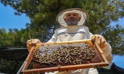 Oğlunun ölümünün ardından arıcılık ile hayata tutundu