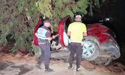 Ağaca çarpan araçta 2 kişi yaralandı