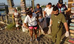 Tedavi edilen Caretta Caretta denize bırakıldı