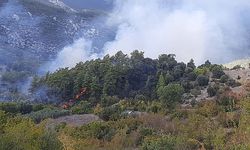 Kumluca'da yangın