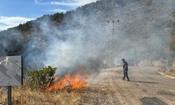 Kumluca'da orman yangını