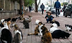 İyilik yapmak isterken kötülük yapmayalım