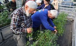 Alzheimer hastalarının umut evi