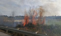 Araçtan atılan sigara yol kenarında yangın çıkardı