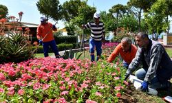 Muratpaşa’nın Çiçek Desenleri Günleri başlıyor
