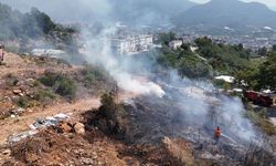 Yangın ormana sıçramadan söndürüldü