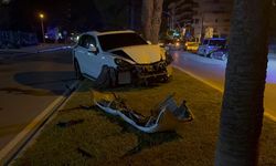 Alkollü sürücü ortalığı dağıttı