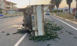 Salatalık yüklü kamyonet devrildi
