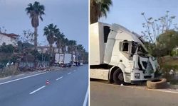 Sebze yüklü tır refüjdeki palmiye ağacına çarptı