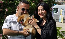 Kaybolan köpek bulundu sahipleri sevince boğuldu