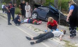 Çocuk sürücü karşı şeride geçip palmiyeye çarptı