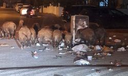 Şehri istila ettiler, halk tedirgin
