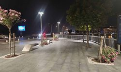 Sahildeki ağaçları kırdılar