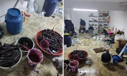 Ruhsatsız şalgam imalathanesi mühürlendi